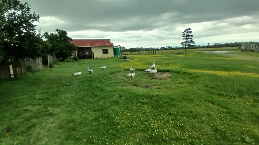 Commercial Property for Sale in Bathurst Rural Eastern Cape